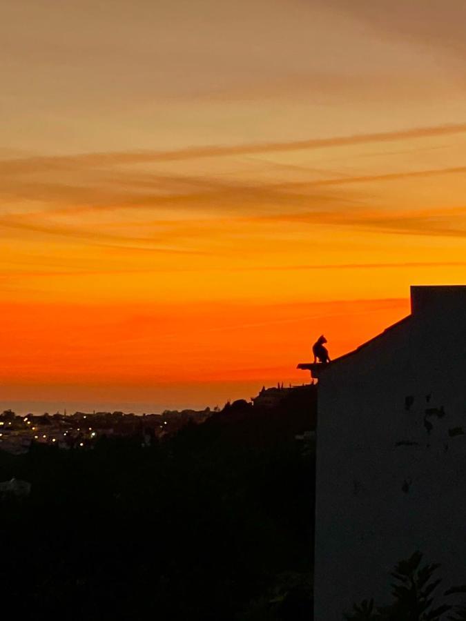 Ocean View Skyline Apartment ‚Hakuna Matata' Albufeira Exterior foto